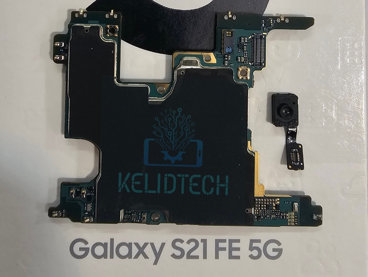 برد سامسونگ گلکسی اس 21 اف ای